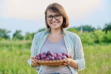 Middle aged woman with harvest of plums in a wicker plate outdoor. Gardening, orchard, farming, hobby, leisure, summer autumn season, healthy food concept