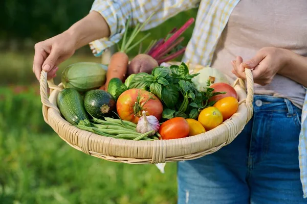 Close Basket Many Different Fresh Raw Organic Vegetables Farmer Woman — Foto de Stock