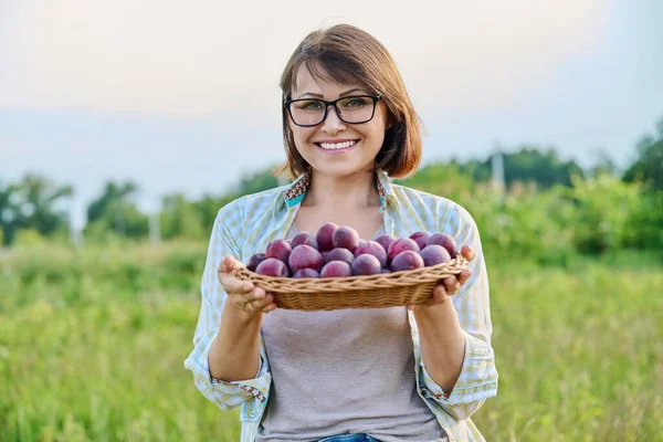 Middle aged woman with harvest of plums in a wicker plate outdoor. Gardening, orchard, farming, hobby, leisure, summer autumn season, healthy food concept
