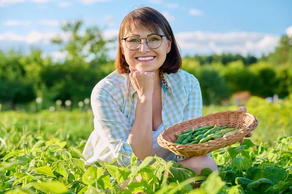 Smiling Woman Basket Green Beans Garden Sunny Summer Day Growing — Stok fotoğraf