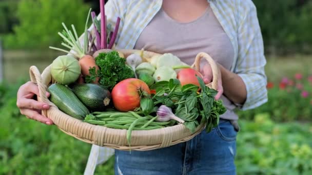 Close Basket Many Different Fresh Raw Organic Vegetables Farmer Woman — 图库视频影像