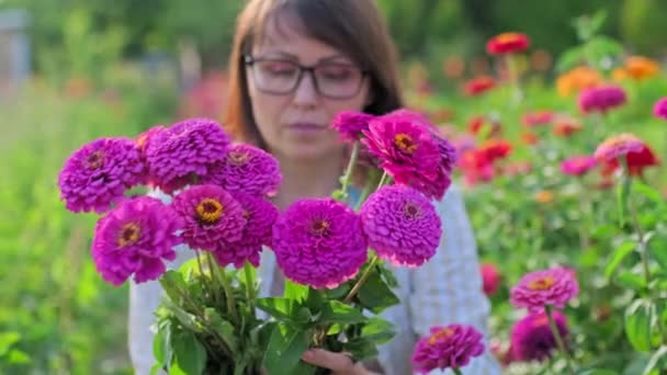 Woman Fresh Zinnia Flowers Outdoor Garden Blooming Flowers Summer Season — Stockvideo