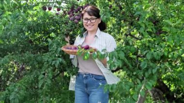 Middle aged woman with harvest of plums in wicker plate outdoor, plum tree, orchard background. Gardening, farming, hobby, leisure, summer autumn season, healthy food concept