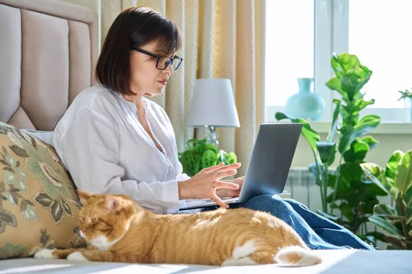 Middle aged relaxed woman together with sleeping ginger red old cat sitting on bed at home, female using laptop for leisure work rest. Home leisure, lifestyle, domestic animal pet, 40s people concept