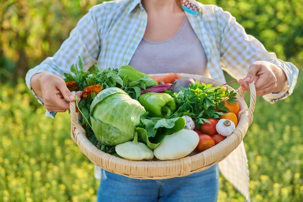 Portrait Smiling Middle Aged Woman Basket Different Fresh Raw Vegetables — Foto de Stock