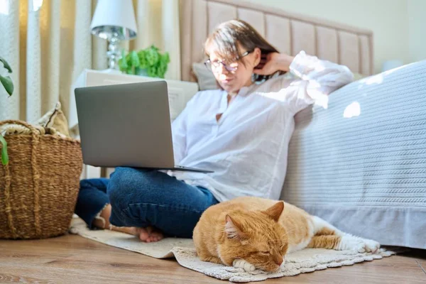 Relaxed Red Ginger Old Cat Lying Sleeping Floor Woman Laptop — ストック写真