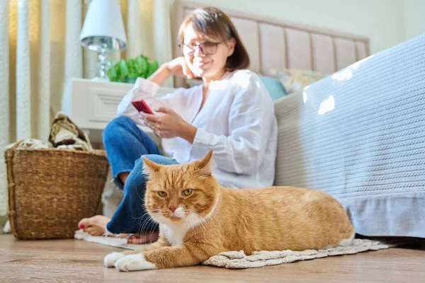 Home lifestyle, woman with cat, comfort calmness concept. Female sitting on floor on carpet using smartphone, pet old red ginger cat lying near owner, animal in focus