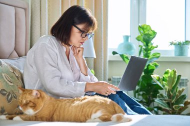 Middle aged relaxed woman together with sleeping ginger red old cat sitting on bed at home, female using laptop for leisure work rest. Home leisure, lifestyle, domestic animal pet, 40s people concept