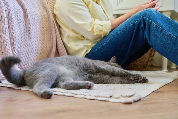 Home Lifestyle Woman Cat Comfort Calmness Concept Female Sitting Floor — Stock Photo, Image