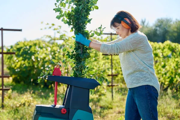 Vrouw Die Elektrische Tuinversnipperaar Gebruikt Voor Takken Struiken Tuinieren Schoonmaken — Stockfoto