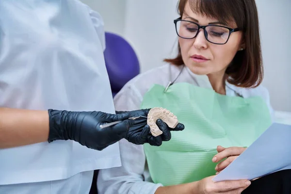 Primer Plano Del Modelo Yeso Mandíbula Manos Del Médico Paciente — Foto de Stock