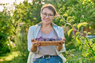 Middle aged woman with harvest of plums in a wicker plate outdoor. Gardening, orchard, farming, hobby, leisure, summer autumn season, healthy food concept