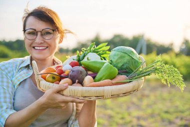 Close up basket of many different fresh raw organic vegetables in farmer woman hands, summer nature vegetable garden background. Harvest vegetables from organic farm, healthy food nutrition, gardening