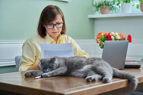 Business middle aged woman working from home, using laptop, along with pet cat. Female sitting at table with documents, sleeping cat lying next to owner. Freelance, remote work, 40s people concept