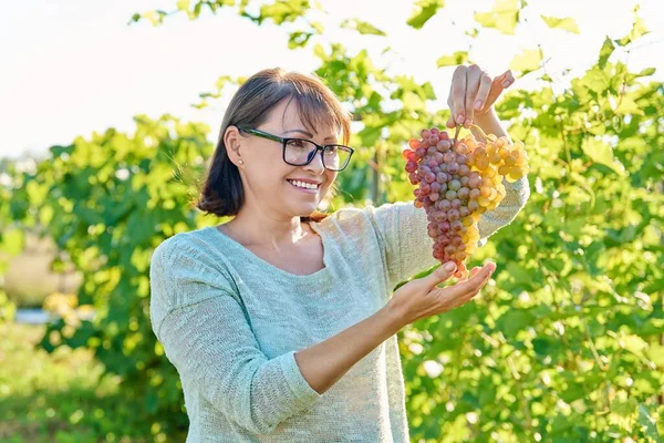 Glimlachende Vrolijke Vrouw Met Grote Bos Rijpe Roze Rozijnendruiven Haar — Stockfoto