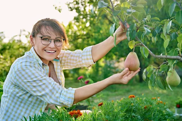 Retrato Mujer Sonriente Huerto Frutas Mirando Cámara Con Peras Maduras — Foto de Stock