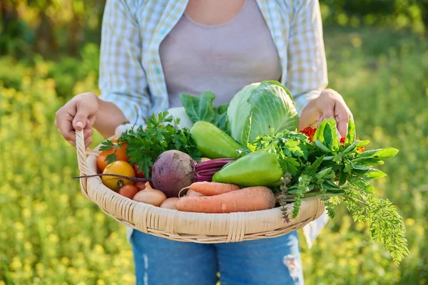 Portrait Smiling Middle Aged Woman Basket Different Fresh Raw Vegetables — Foto de Stock