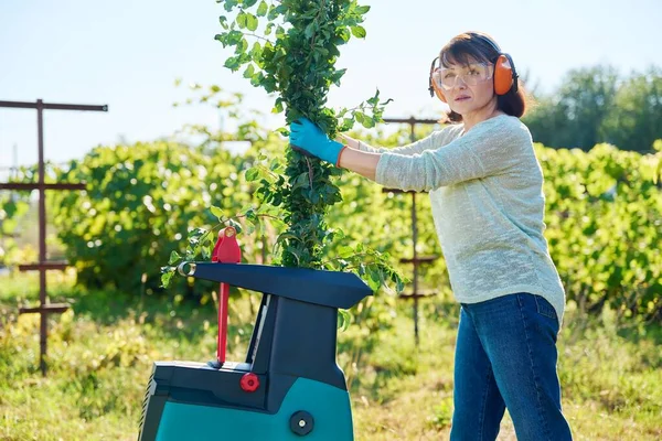 Vrouw Die Elektrische Tuinversnipperaar Gebruikt Voor Takken Struiken Tuinieren Schoonmaken — Stockfoto