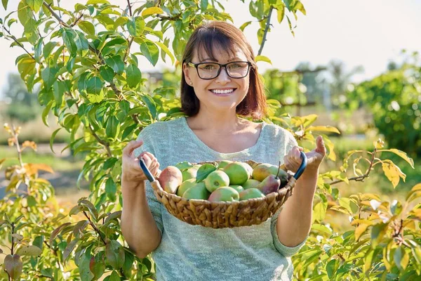 Vrouw Die Biologische Peren Oogst Tuin Zonnige Herfstdag Vrouw Van — Stockfoto