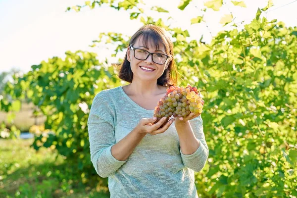 笑容满面的快乐女人手里拿着一大串成熟的粉红葡萄干葡萄 夏天的秋天葡萄园背景 自然生态水果食品 健康饮食概念 — 图库照片