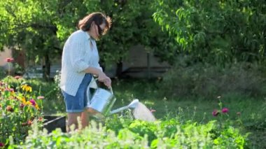 Woman watering a garden bed with a watering can. Growing natural organic eco vegetables, herbs in the garden, hobby and leisure, lifestyle, summer season concept