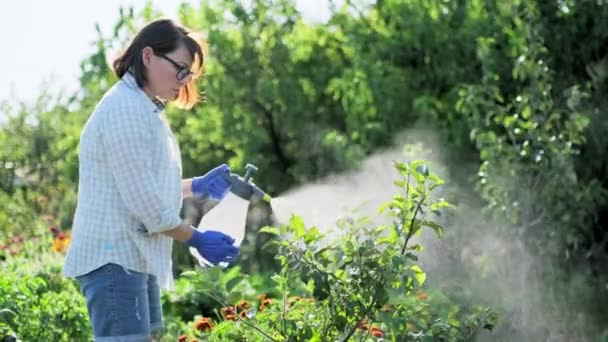 噴霧銃を持つ庭の女性は 化学的および生物学的製剤を使用して 細菌性真菌性疾患や害虫寄生虫から保護するための準備と若いリンゴの木を噴霧 — ストック動画