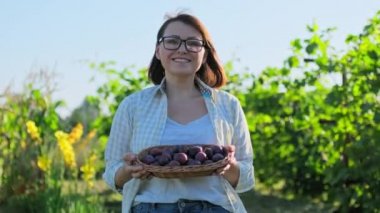 Middle aged woman with harvest of plums in a wicker plate outdoor. Gardening, orchard, farming, hobby, leisure, summer autumn season, healthy food concept