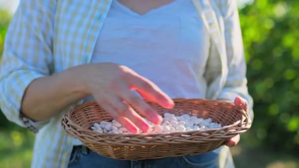 Closeup Crop Dry White Beans Hands Outdoor Woman Female Holding — Stock videók