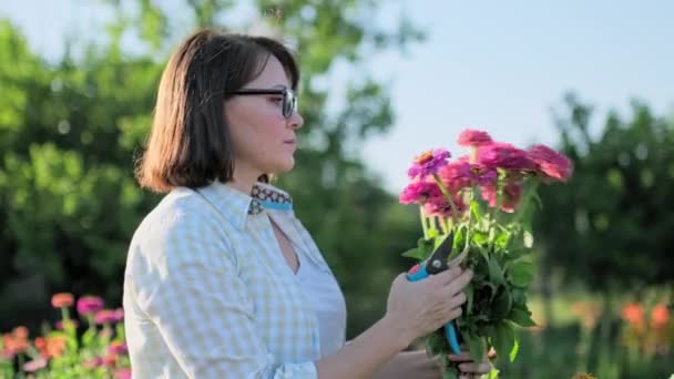 Woman Fresh Zinnia Flowers Outdoor Garden Blooming Flowers Summer Season — Stockvideo