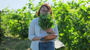 Sebze bahçesinde fesleğenli orta yaşlı bir kadın. Taze kokulu fesleğenle gülümseyen kadın bahçıvan. Doğal organik eko bitkiler yetiştiriyor. Yiyecek, bahçıvanlık, yaz, hasat, yemek.