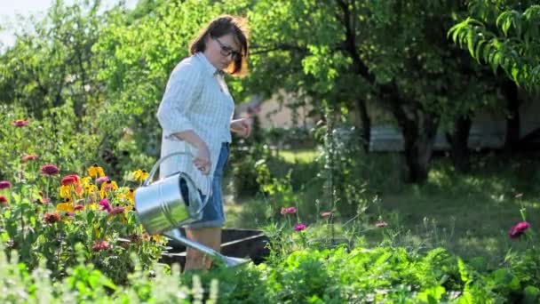 Woman Watering Garden Bed Watering Can Growing Natural Organic Eco — Video