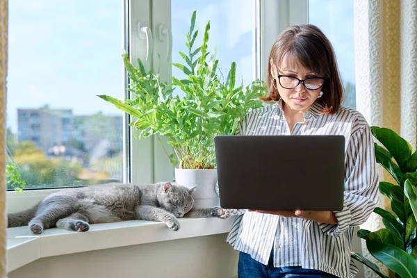 窓の近くの自宅でラップトップを使用している中年の女性は ペット猫が窓辺で寝ています 余暇と仕事のためのコンピュータ 女性のフリーランス 所有者と暖かい太陽を楽しむ動物 — ストック写真