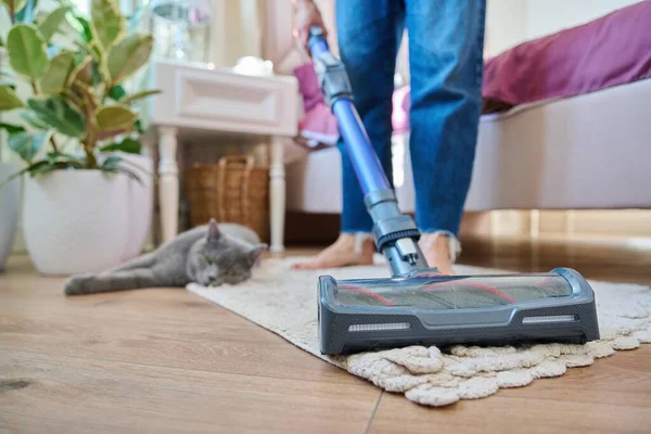 진공소제기로 청소하고 고양이를 기르는 다리를 클로즈업하고 진공소제기 카펫을 집안일 알레르기 — 스톡 사진