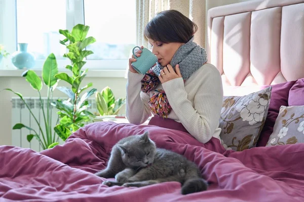 Middle-aged woman sitting at home in bed, warming with scarf and mug of hot drink, along with gray pet cat. Lifestyle, cozy, cold season autumn winter, comfort, animals, people concept