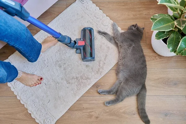 Casa Limpieza Con Aspiradora Hembra Con Gato Mascota Piernas Mujer — Foto de Stock
