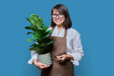 Önlüklü, çiçekli, gülümseyen orta yaşlı kadın portresi mavi arka planda kameraya bakıyor. Bahçe düzenleme fabrikası. Çiçekçilik reklamı yetiştiriyor ve satıyor.