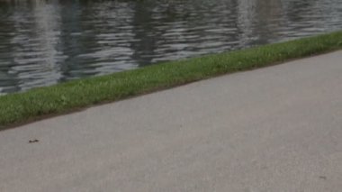 bankenviertel de frankfurt am main, deutschland