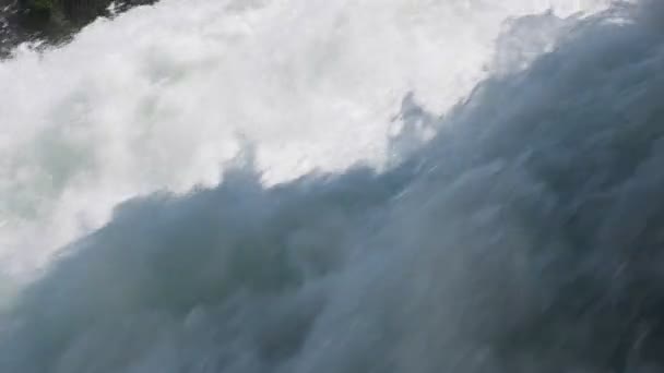 Schaffhausen, İsviçre yakınındaki Rhine falls — Stok video