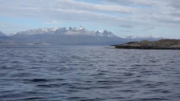 Beaglekanalen i ushuaia — Stockvideo