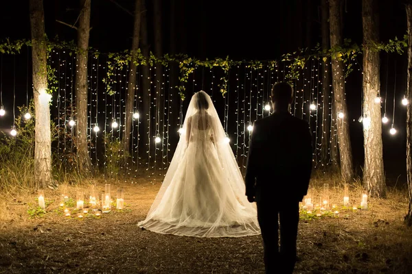 Noche de bodas. Encuentro de los recién casados, la novia y el novio en el bosque de coníferas de velas y bombillas —  Fotos de Stock
