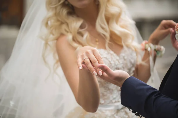 Casal a noiva e o noivo olham um para o outro e de mãos dadas — Fotografia de Stock