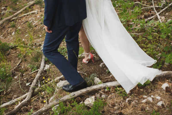 Pengantin pria dan wanita berjalan bersama-sama memegang tangan mereka — Stok Foto