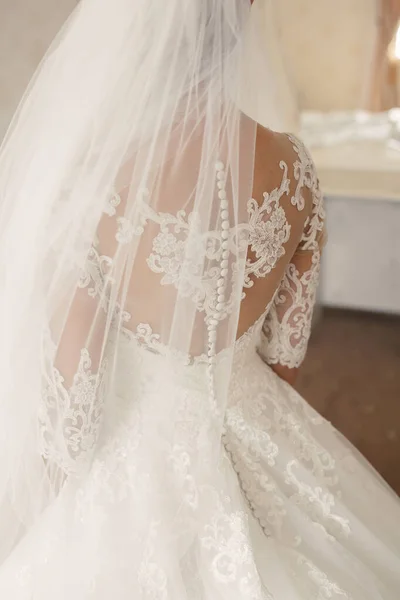 The bride with a beautiful dress that shows her bare back. Portrait of the fashion bride. — Stock Photo, Image