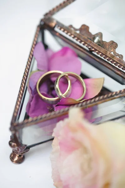 Obrączki ślubne w szklanym pudełku z płatkami róż liliowych. — Zdjęcie stockowe