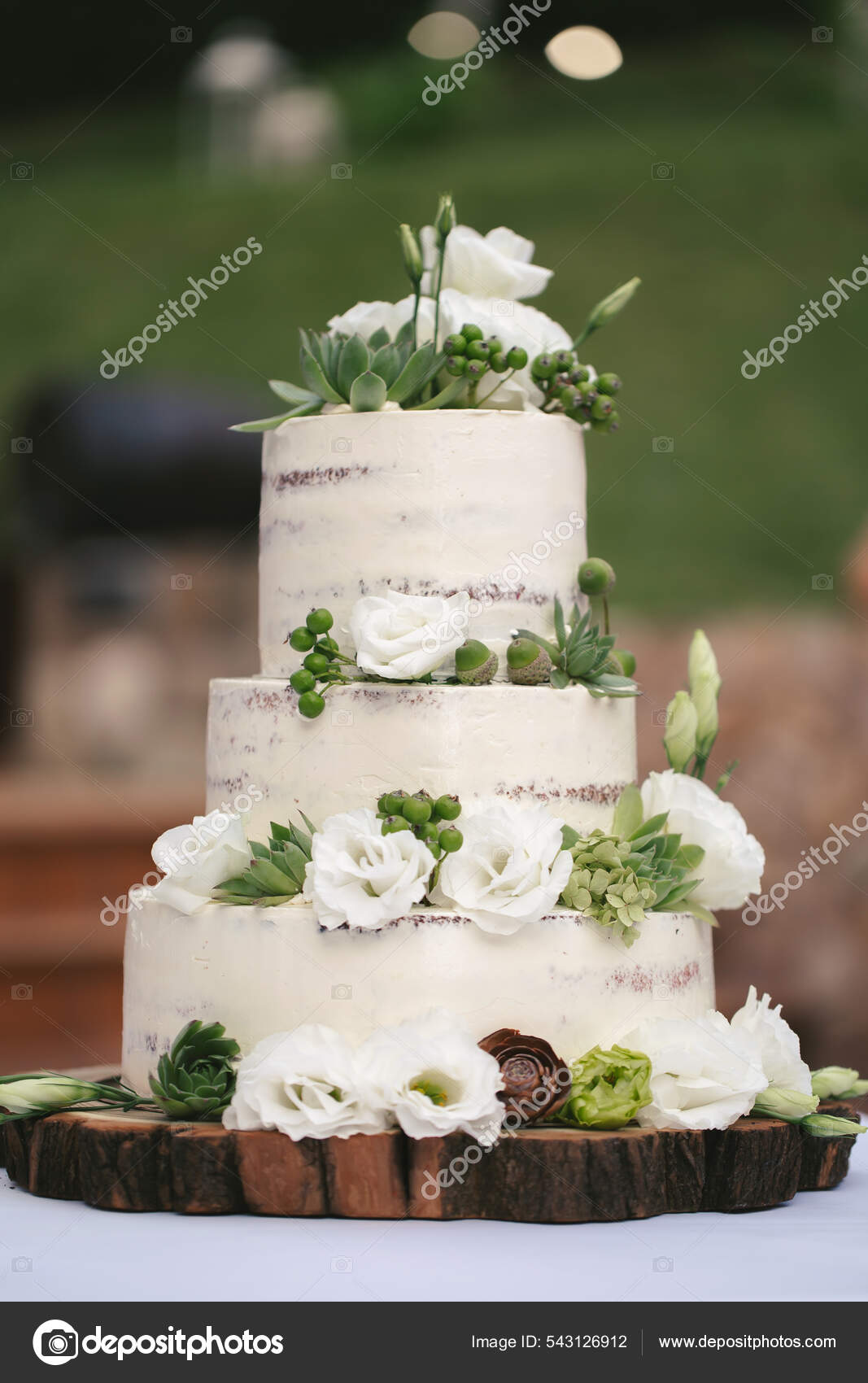 웨딩 케이크 : r/OnePiece, image size:1067x1700