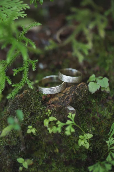 森の緑の苔の上の黄金の結婚指輪. — ストック写真