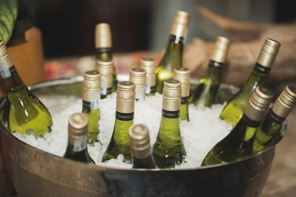 Skleněné láhve vína v kbelíku s ledem — Stock fotografie