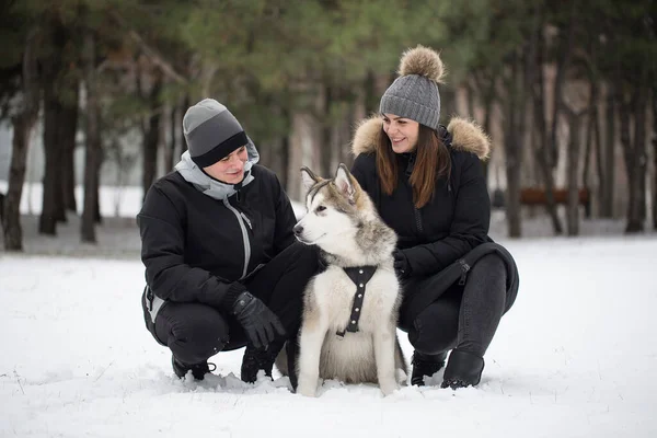Bela família, um homem e uma menina na floresta de inverno com cão. Brincar com o cão Siberian husky — Fotografia de Stock