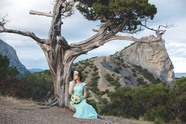 Gelin ve damat su kenarındaki dağlarda doğada. Takım elbise ve kıyafet rengi Tiffany. Gelin bir ağacın altında oturur. — Stok fotoğraf