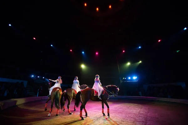 Rijdend op een circuspaard. Onder de koepel van het circus. — Stockfoto
